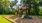 a playground with trees and grass