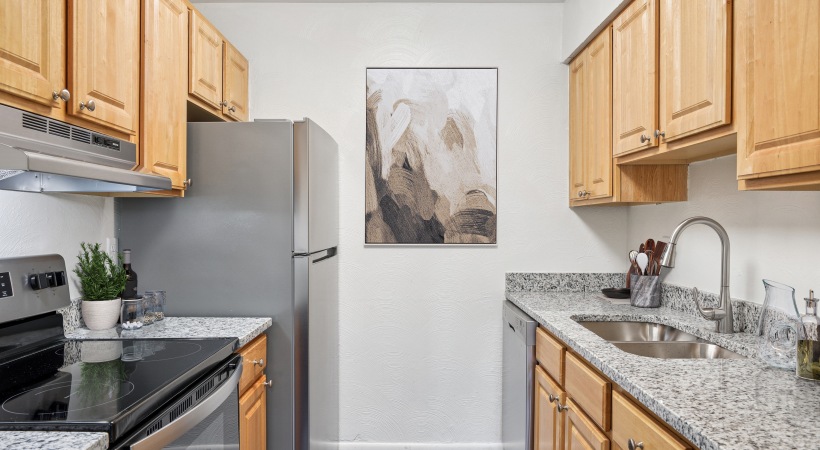 stainless steel appliances, wood cabinetry and granite countertops